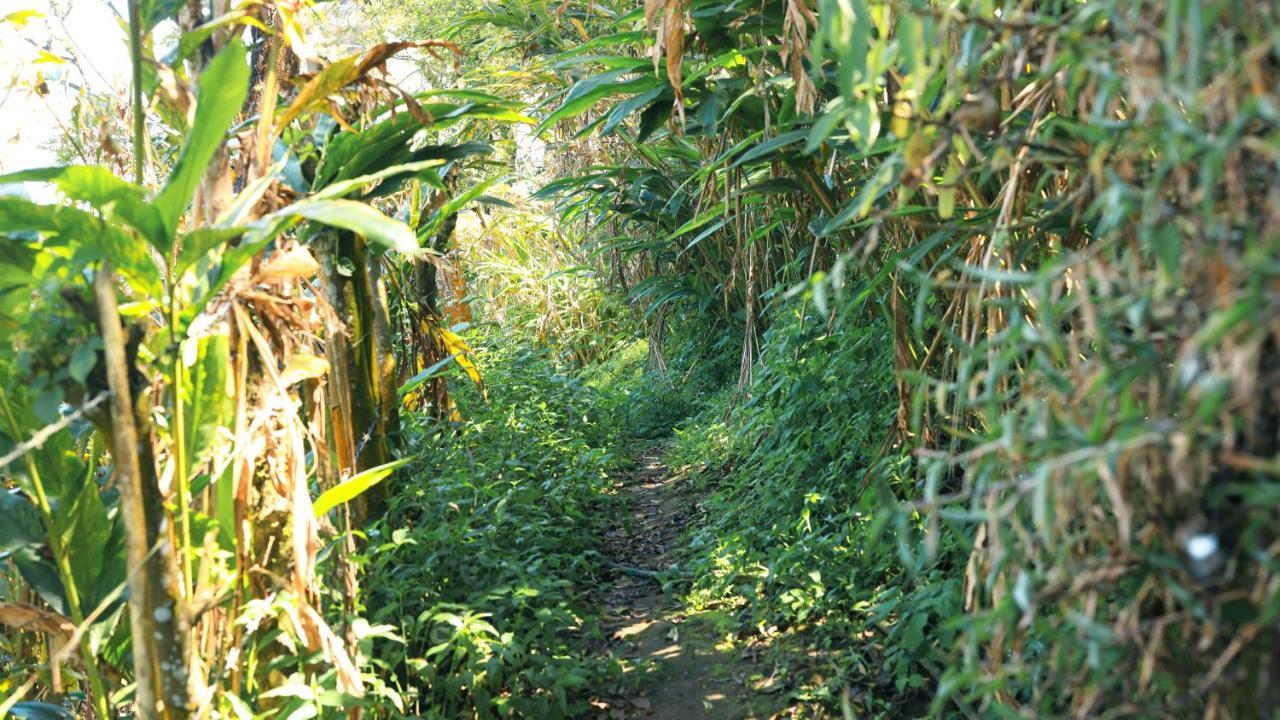 Shola Crown Resort - Munnar Chinnakanal Exteriör bild